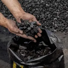 Brudne ręce trzymają ekogroszek nad czarnym workiem.