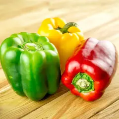Tres pimientos de colores (rojo, verde y amarillo) sobre una mesa de madera. Los perros pueden comer pimiento, ¡una opción saludable!