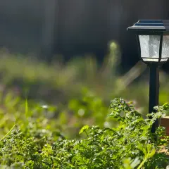 Solarna lampa ogrodowa w zieleni. Dowiedz się, jak podłączyć lampy ogrodowe szeregowo, by stworzyć magiczny nastrój.