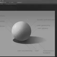 Symulacja światła i cienia na kuli w programie 3d photoshop, z oznaczeniami: refleks, centrum światła, pół-ton, światło ambientowe, cień graniczny, cień główny, cień szczelinowy, cień rozproszona krawędź.
