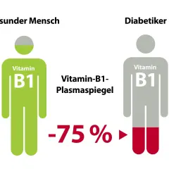 Vergleich: Gesunder Mensch hat volle Vitamin B1-Reserven, Diabetiker nur noch 25%.