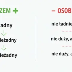 Grafika z podziałem na "RAZEM" i "OSOBNO", pokazująca przykłady pisowni "nie" z przymiotnikami.