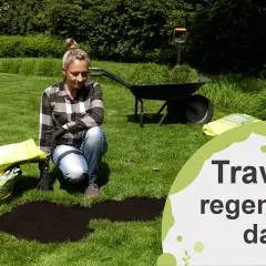 Skuteczne sposoby na regenerację trawnika i przywrócenie mu zdrowia