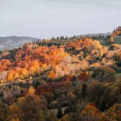 Jesienne wzgórza w Szczawnicy w barwach zachodu słońca.
