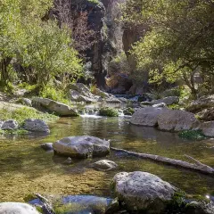 Un arroyo sereno fluye entre rocas y vegetación exuberante, formando pequeños saltos de agua. Los **canales de Padules** ofrecen un paisaje natural y refrescante.