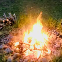 Płonące ognisko na działce, stos drewna obok. Czy można palić ognisko na działce? Zależy od przepisów.