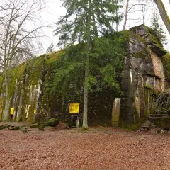 Masywny bunkier porośnięty mchem i bluszczem, część historycznego Wilczego Szanieca, otoczony jesiennym lasem.