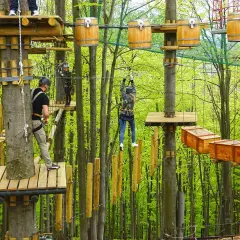 Park linowy w lesie, pełen drewnianych platform i przeszkód. Wśród zieleni widać ludzi pokonujących trasy, szukających wrażeń i **równica atrakcje**.
