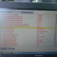 Błąd DTC P0100 Renault na ekranie laptopa z programem FiatECUScan. Analiza parametrów silnika, w tym sond lambda i pozycji pedału przyspieszenia.