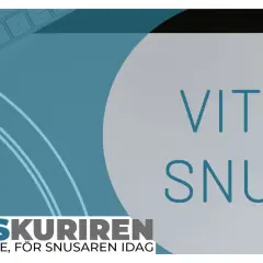 Vitt snus, ett alternativ till tobak och nikotinfritt snus, presenteras på ett papper bredvid en grön penna. Texten "SNUSKURIREN" syns nedtill.