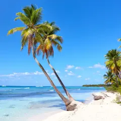 Rajska plaża na Dominikanie, z palmami pochylonymi nad turkusową wodą. Idealne miejsce, by zapomnieć, kiedy huragany na Dominikanie mogą zagrozić temu spokojowi.