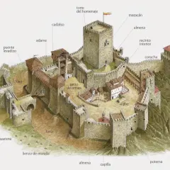 Ilustración detallada de castillos medievales, mostrando murallas, torre del homenaje, foso, patio de armas y puente levadizo.