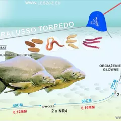 Jak łowić na spławik w rzece? Sekrety skutecznych brań!