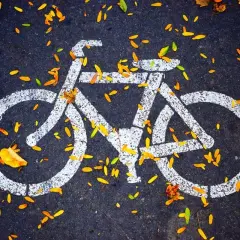 Znak roweru na asfalcie, zasypany jesiennymi liśćmi. To jak symboliczne prawo jazdy na rower, gotowe do jesiennych przejażdżek.