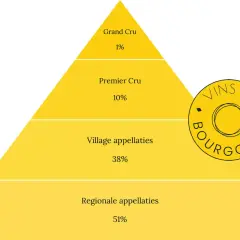 Gelbe Pyramide zeigt Weinqualitäten: Grand Cru (1%), Premier Cru (10%), Village (38%) und Regionale Appellationen (51%).