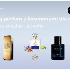 Ranking najlepszych męskich zapachów, w tym najbardziej komplementowane perfumy z feromonami. Na zdjęciu flakony Dior Sauvage, Paco Rabanne 1 Million i inne.