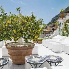 Un albero di limoni carico di frutti su una terrazza con vista mare. Il momento ideale per pensare a quando travasare il limone, magari in un vaso più grande, per farlo crescere rigoglioso.