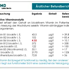 Vitamin B12 Grenzbereich: Was Ihre Serumwerte wirklich bedeuten
