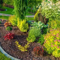 Ein Gartenbeet mit Rindenmulch, das Unkrautvlies verlegen bei bestehenden Pflanzen schützt. Bunte Stauden und Zwerggehölze gedeihen prächtig.