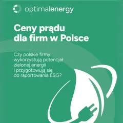 Ceny prądu dla firm w Polsce. Czy polskie firmy wykorzystują potencjał zielonej energii i przygotowują się do raportowania ESG?