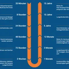 Zeitstrahl zeigt, wie sich der Körper nach dem Rauchstopp verändert. Tipps für rauchen aufhören und Hausmittel werden durch positive Effekte illustriert.