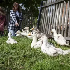 Jak skutecznie pozyskać środki na agroturystykę i uniknąć błędów