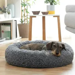 Un chien se repose paisiblement sur un tapis chien orthopédique moelleux et gris, dans un salon lumineux.
