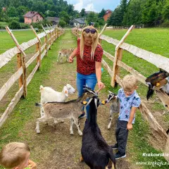 Dzieci i kobieta karmią kozy na farmie. Wesołe chwile na **petting zoo** wśród zieleni i zwierząt.
