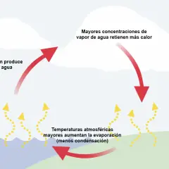 Ciclo del agua: la evaporación aumenta el vapor de agua, que retiene calor. Temperaturas altas aumentan la evaporación.