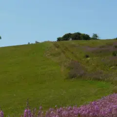 Wasserkuppe: Hessens höchster Berg Ihr Guide für Abenteuer & Ausflug