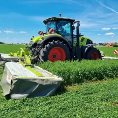 Traktor z kosiarką pracuje na polu lucerny. Rolnik zastanawia się, ile nasion lucerny na hektar będzie potrzebne do zasiewu.