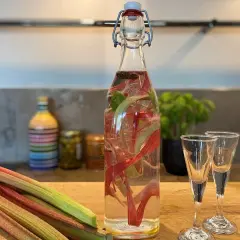En flaska med rabarberinfusion för egen snaps, bredvid två små glas. Rabarberstjälkar ligger framför.