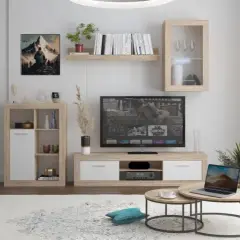 Muebles de salón originales: Transforma tu hogar con estilo único