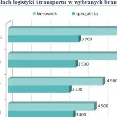 Zarobki w logistyce: kierownik zarabia więcej niż specjalista w handlu, przemyśle lekkim i ciężkim.
