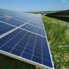 Farma fotowoltaiczna: Ile zarobisz i kiedy zwróci się inwestycja?