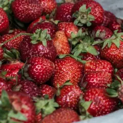 Mnóstwo soczystych truskawek. Czy truskawki są zdrowe? Tak, to pyszne i zdrowe owoce pełne witamin.