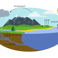 Der Wasserkreislauf für die Grundschule: Regen (Niederschlag) fällt auf Berge, versickert und fließt ins Grundwasser. Verdunstung und Kondensation bilden Wolken.