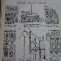 Rysunki architektoniczne katedry Notre Dame w Paryżu: widoki zewnętrzne, przekroje i detale.