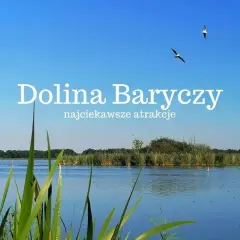 Dolina Baryczy, największy park krajobrazowy w Polsce, zachwyca spokojną wodą, trzcinami i szybującymi ptakami.