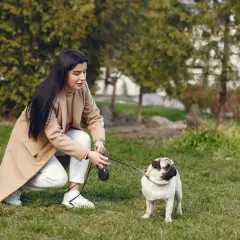 Co ile sika szczeniak? Poznaj tajniki treningu i pielęgnacji