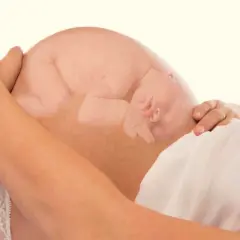 La imagen muestra la postura del bebé dentro del vientre materno, acurrucado y tranquilo.