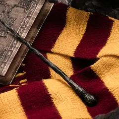 Magiczna różdżka i szalik w barwach Gryffindoru, idealne dla fanów szukających książek podobnych do Harrego Pottera.