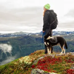 Mujer con mochila y perro con alforjas en un paisaje montañoso, disfrutando de su camino de Santiago con perros.