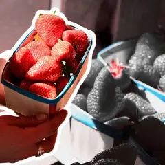 Ręce trzymają koszyczek pełen soczystych truskawek. W tle widać kolejne opakowania owoców, sugerujące atrakcyjną truskawki cenę.