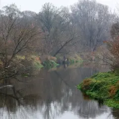 Spokojny nurt prawego dopływu Bzury otoczony jesiennym lasem. Woda odbija nagie drzewa i mglisty krajobraz.