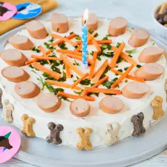 Hunde Torte Rezept einfach und schnell: Leckere Wurstscheiben, Karotten und Kräuter zieren diese festliche Hundetorte mit Kerze. Knochenförmige Kekse schmücken den Rand.