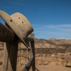 AriZona: Co kryje kultowa puszka? Historia, smaki i gdzie kupić w PL.