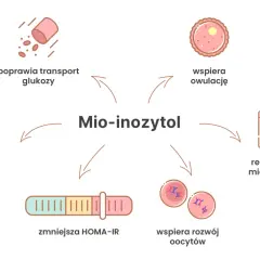 Mio-inozytol wspiera owulację, reguluje cykl miesiączkowy, poprawia lipidogram i transport glukozy, zmniejsza HOMA-IR. Może być pomocny w kontekście zdrowia tarczycy.