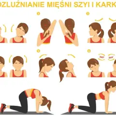 Ilustracja pokazuje ćwiczenia na ból karku: skłony głowy, krążenia, unoszenie barków i pozycje "koci grzbiet" oraz "krowa".