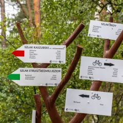 Rozdroże szlaków w Borach Tucholskich. Wskazówki kierują na Szlak Kaszubski, Szlak Brdy i Szlak Stuigi Siedmiu Jezior, zachęcając do odkrywania piękna regionu.